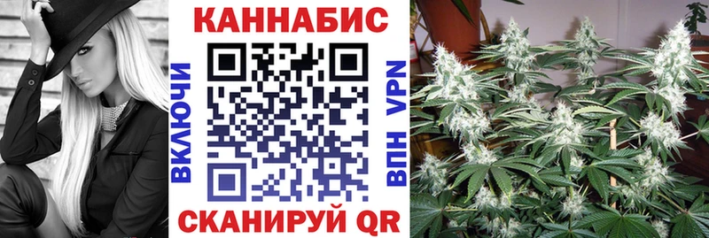 Купить  Северодвинск  Бошки марихуана SATIVA & INDICA 